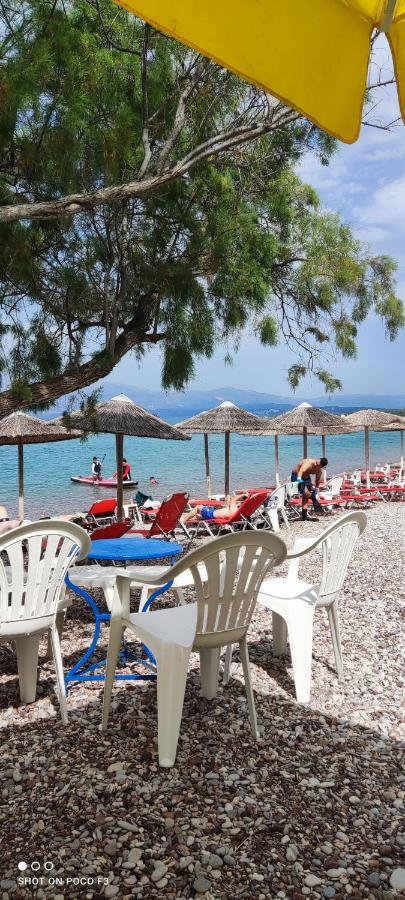 Koralli Beach Niforeika Extérieur photo